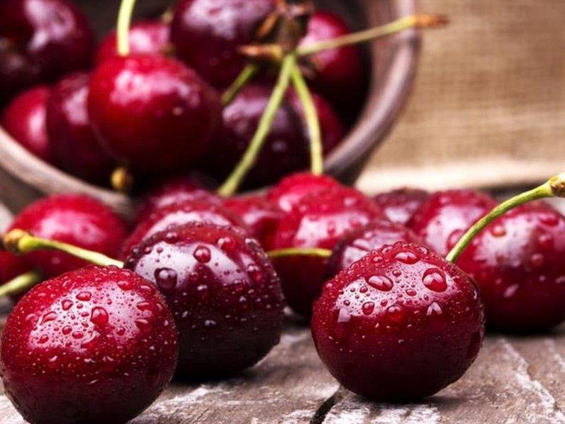 Вишня купить саженцы из питомника в Ярославле